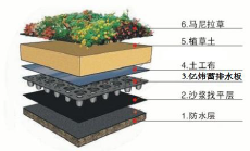 排蓄水板施工方案及簡介